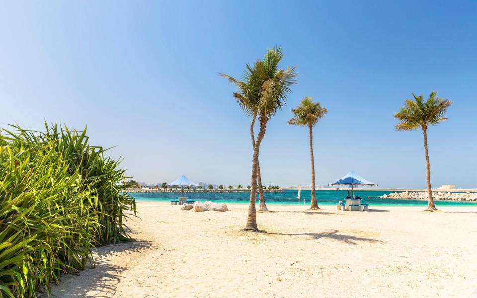 Palm trees at Al Mamzar beach in Dubai