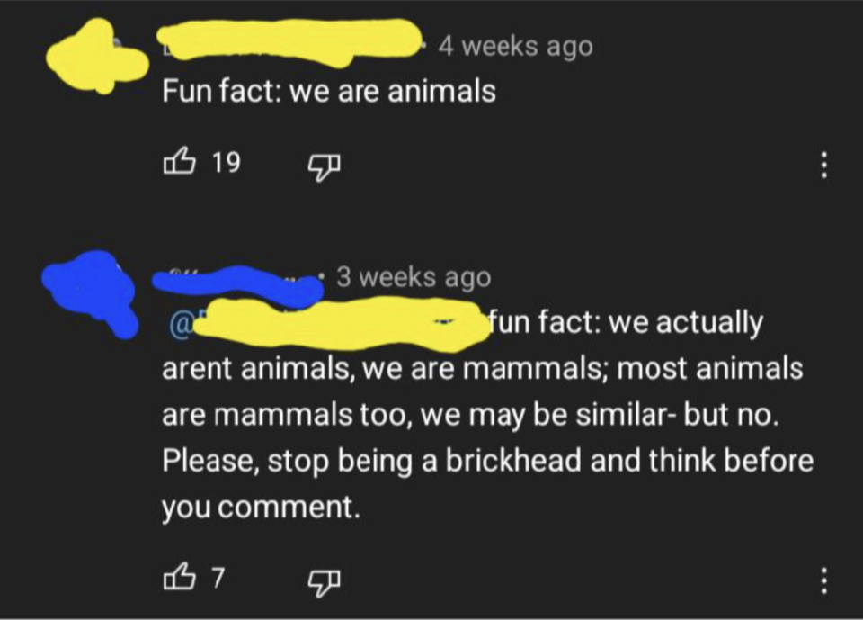 Person says "Fun fact: we are animals," and person answers: "fun fact: we actually aren't animals, we are mammals; most animals are mammals too; we may be similar, but no — stop being a brickhead and think before you comment"