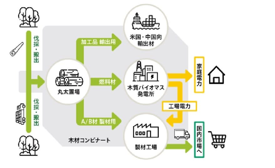 木材聯合工廠 圖/住友林業