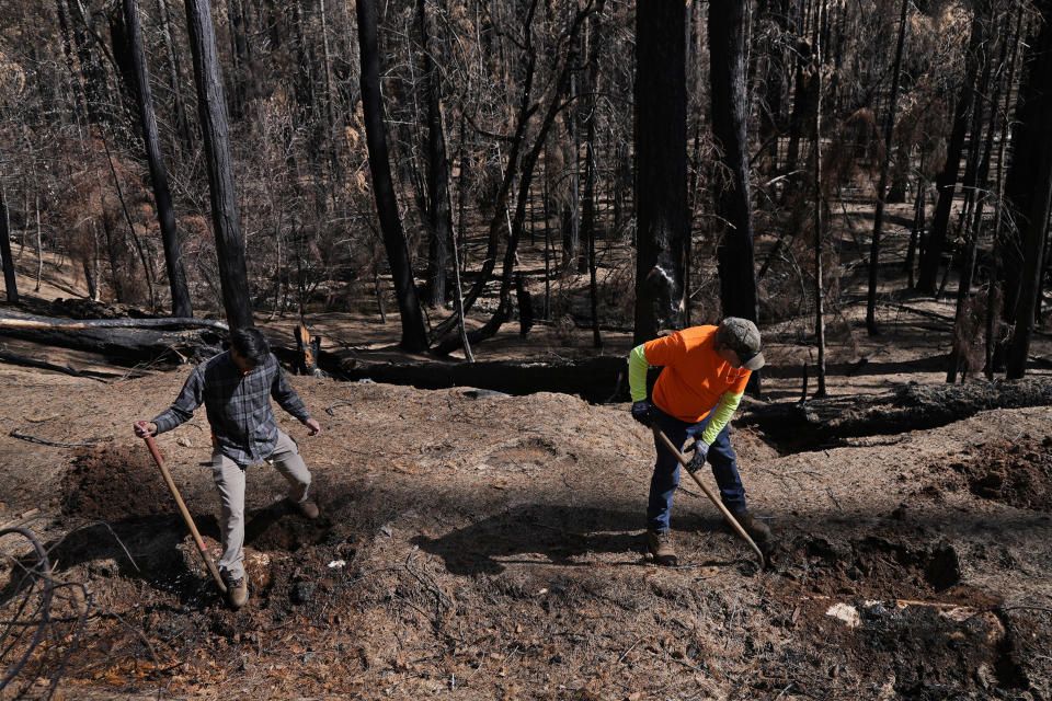Workers Ethan Markes, left, and Andy Vicars, right, dig up a leaking water pipeline damaged by falling debris at the site of the 2021 Caldor Fire, Tuesday, April 5, 2022, near Grizzly Flats, Calif. As climate change fuels the spread of wildfires across the West, researchers want to know how the dual effect might disrupt water supplies. (AP Photo/Brittany Peterson)