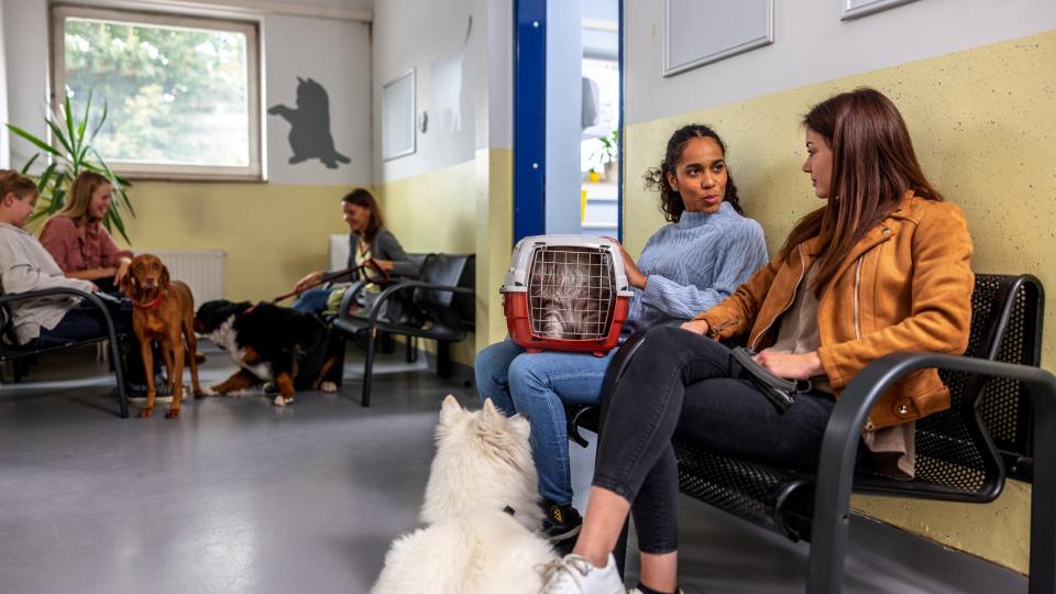 pet parents sit with their pets in a vet clinic waiting room