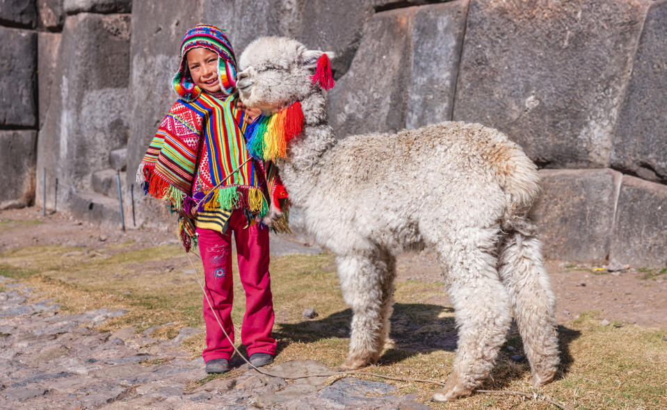 A child in a colorful poncho and pink pants with an alpaca