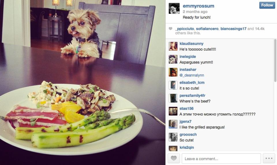 Emmy Rossum and an eager guest enjoy a nutritious lunch.