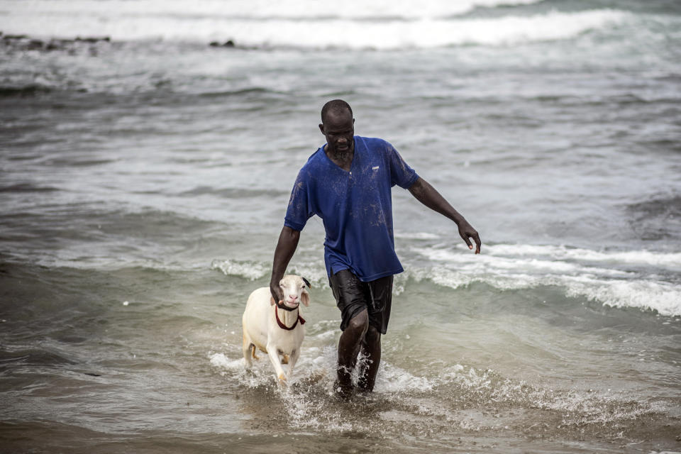 A man returns after washing a sheep with sand and seawater on the beach before it is offered for sale for the upcoming Islamic holiday of Eid al-Adha, on the beach in Dakar, Senegal Thursday, July 30, 2020. Even in the best of times, many Muslims in West Africa scramble to afford a sheep to slaughter on the Eid al-Adha holiday, a display of faith that often costs as much as a month's income, and now the coronavirus is wreaking havoc on people's budgets putting an important religious tradition beyond financial reach. (AP Photo/Sylvain Cherkaoui)