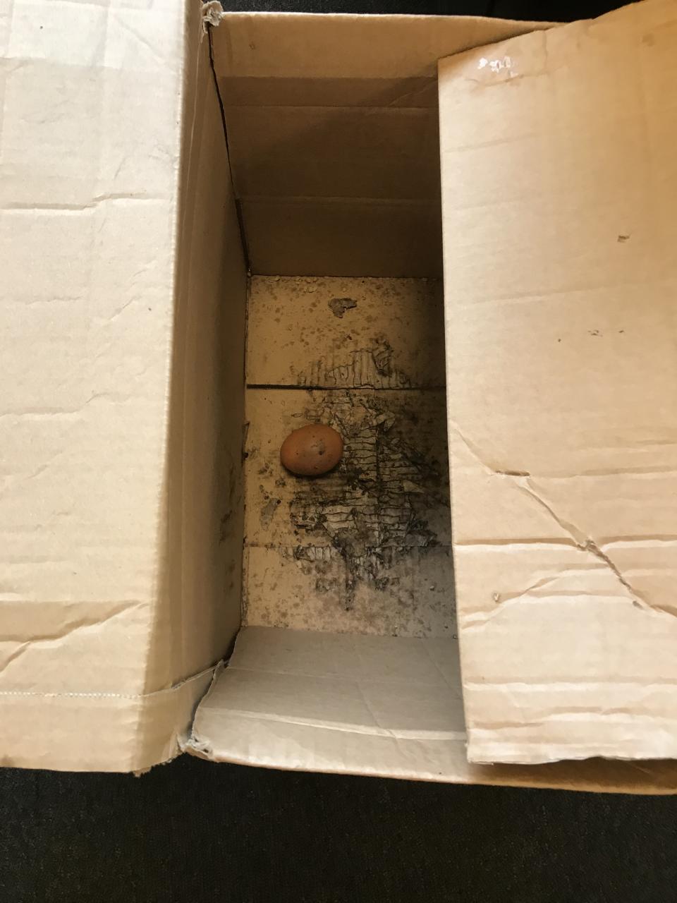 Egg in a box