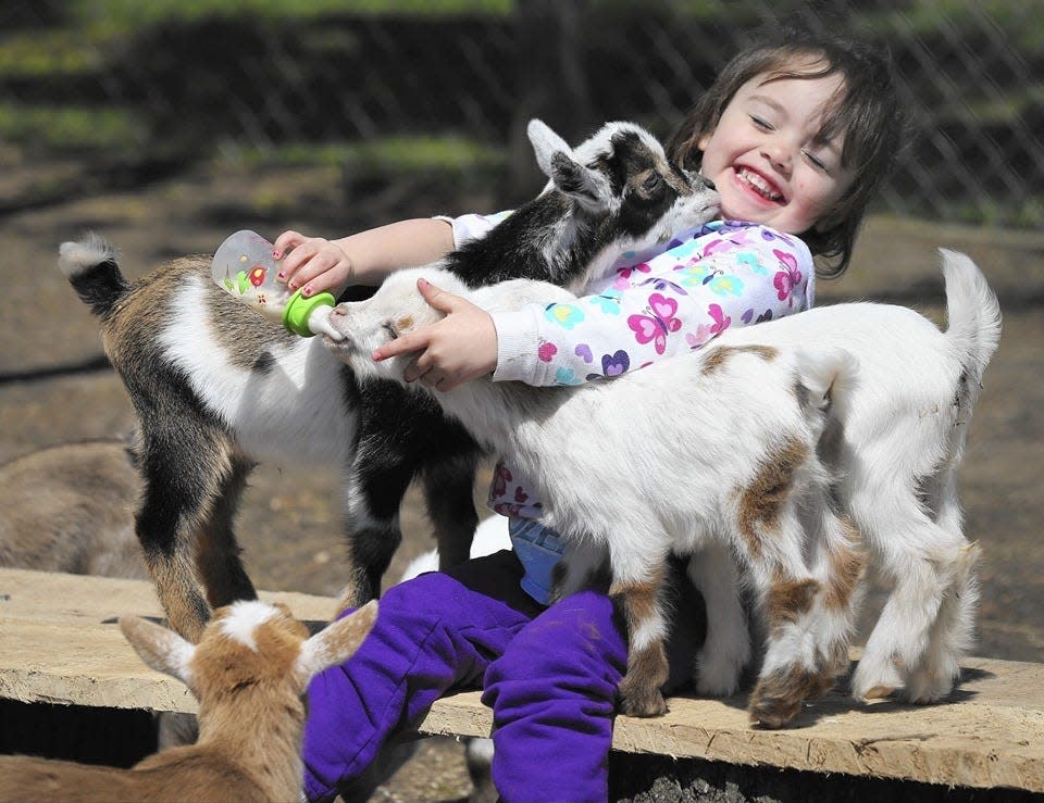 The Summerfield Zoo opens for the season this weekend in Belvidere.
