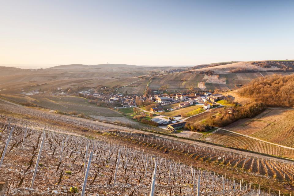 A vineyard overlooking Chavignol - Credit: GETTY