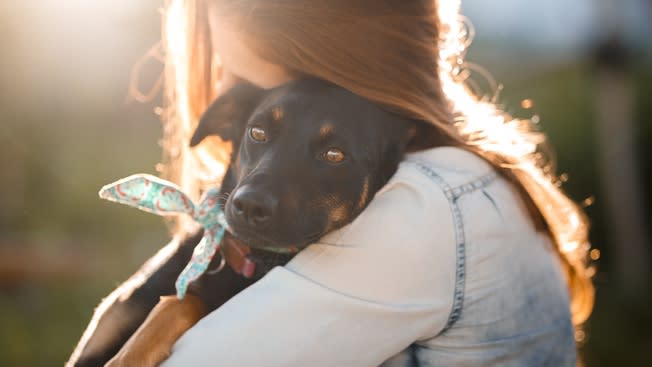32 facts you need to know about adopting a dog