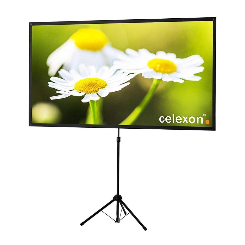 2) Celexon 80-Inch Projector Screen