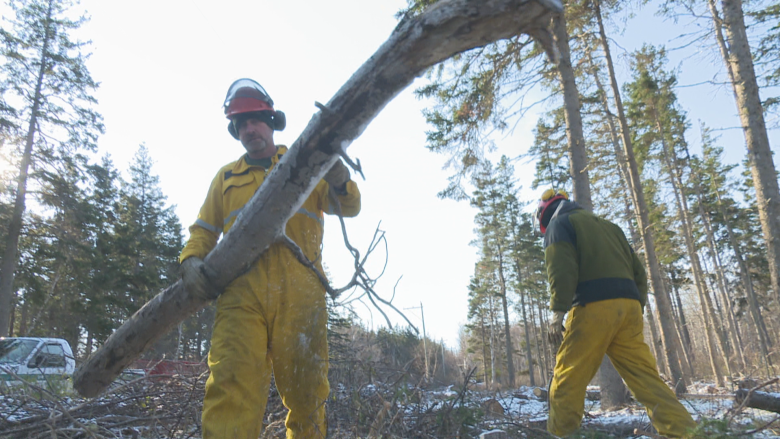 P.E.I. park crews fight fire risk with fire