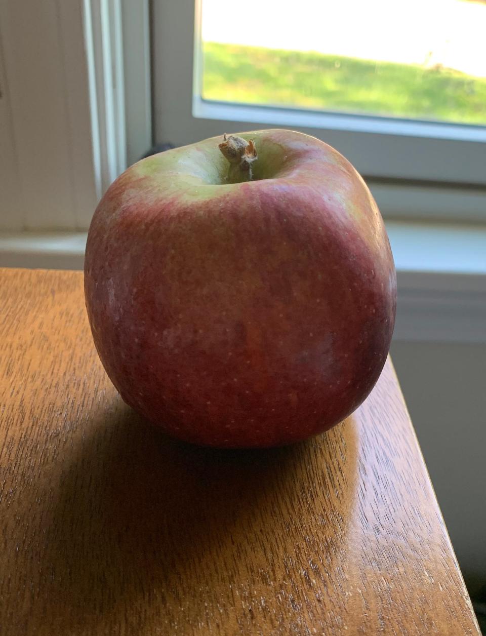 A Macoun apple from Young Family Farm in Little Compton.