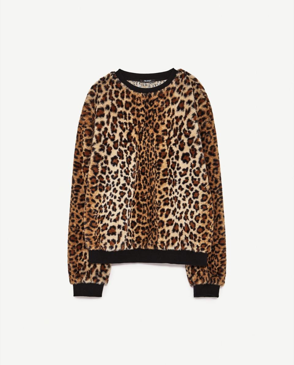 <p><a rel="nofollow noopener" href="https://www.zara.com/uk/en/woman/sweatshirts/furry-printed-sweatshirt-c364001p4227043.html" target="_blank" data-ylk="slk:Zara, £25.99;elm:context_link;itc:0;sec:content-canvas" class="link "><i>Zara, £25.99</i></a> </p>