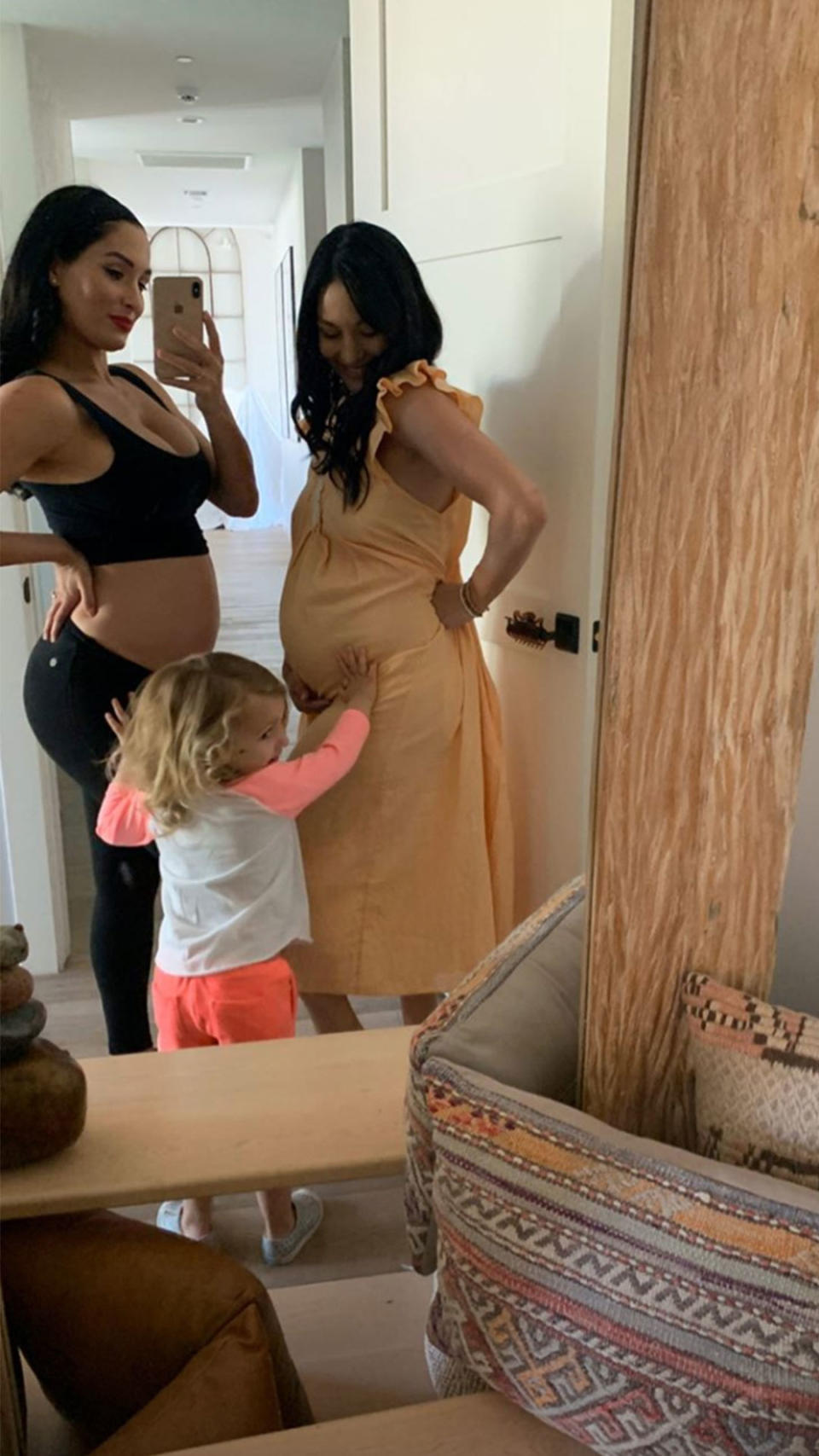 That's Some Serious #Twinning! Check Out Pregnant Nikki and Brie Bella's Growing Baby Bumps