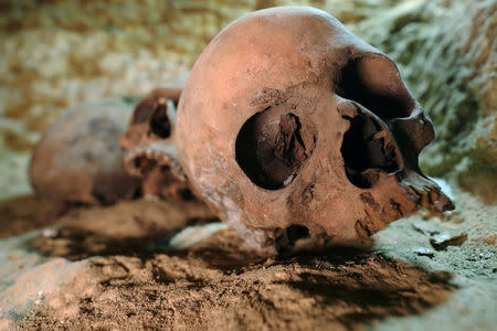 Skulls are seen inside the recently discovered burial site in Minya, Egypt February 24, 2018. REUTERS/Mohamed Abd El Ghany