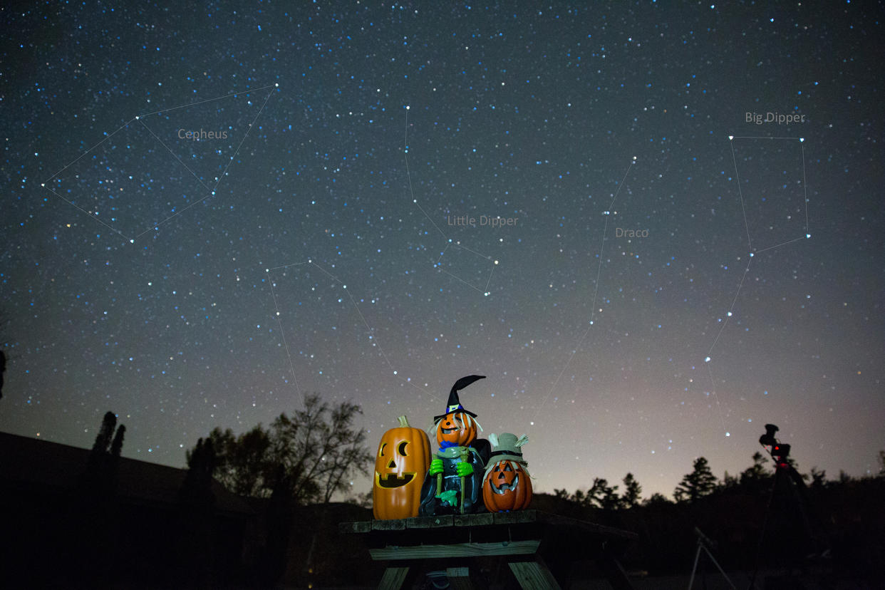  Photograph of smiling pumpkins carved into different faces with the night sky above with constellations such as the Big Dipper, and Cepheus visible above. . 