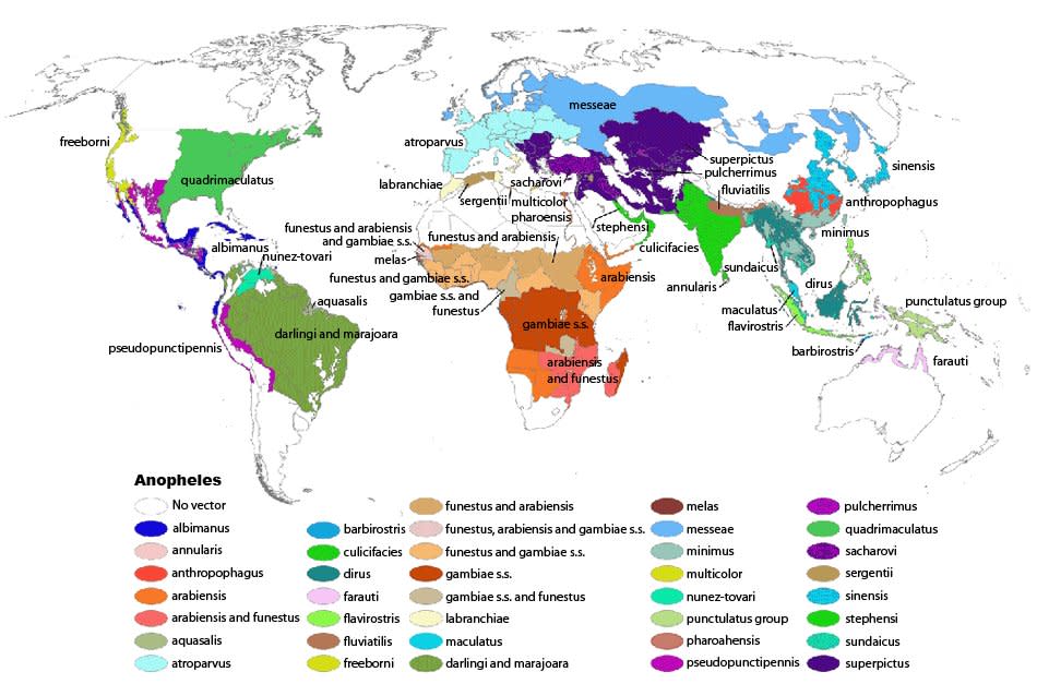 Anopheles map