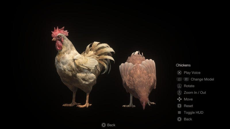 A chicken model is displayed in the RE4 remake.