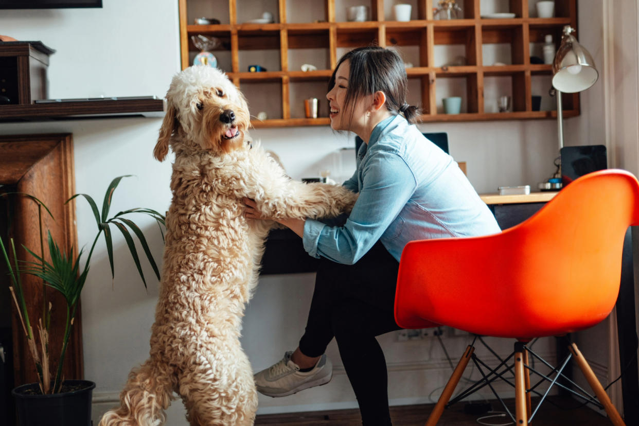  Woman laughing with dog. 