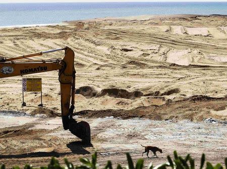 A dog walks past an excavator at a construction site of a Chinese real estate project of a port city in Colombo March 5, 2015. REUTERS/Dinuka Liyanawatte