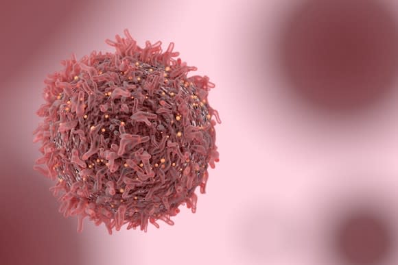 Human cancer cell.