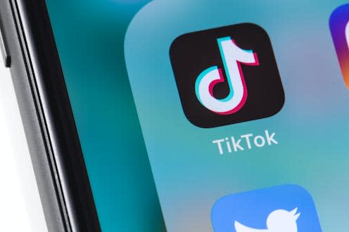 <span class="caption">Experts have been considering whether TikTok is worse in terms of privacy or security than other, US-based apps.</span> <span class="attribution"><a class="link " href="https://www.shutterstock.com/image-photo/smartphone-displaying-tiktok-icon-app-create-1336435262" rel="nofollow noopener" target="_blank" data-ylk="slk:Shutterstock / Primakov;elm:context_link;itc:0;sec:content-canvas">Shutterstock / Primakov</a></span>