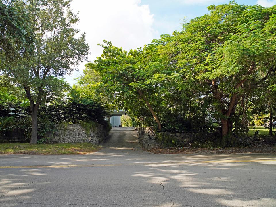 A hidden driveway full of trees in Miami's Coconut Grove neighborhood