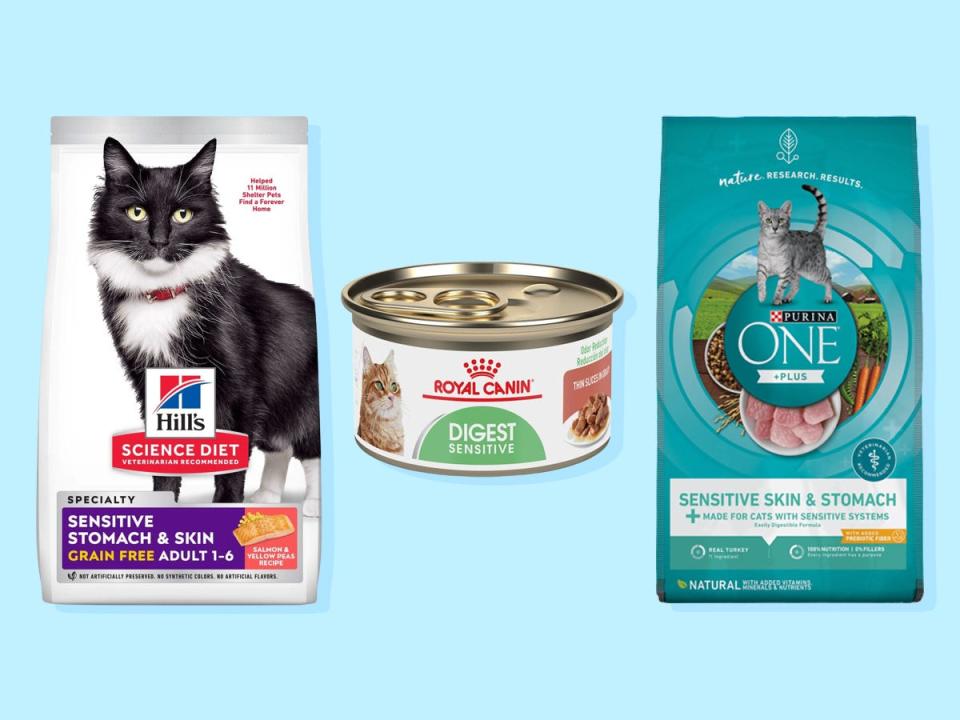 Two bags of sensitive stomach cat food from Purina and Hill’s and a can of Royal Canin food are on a blue background.