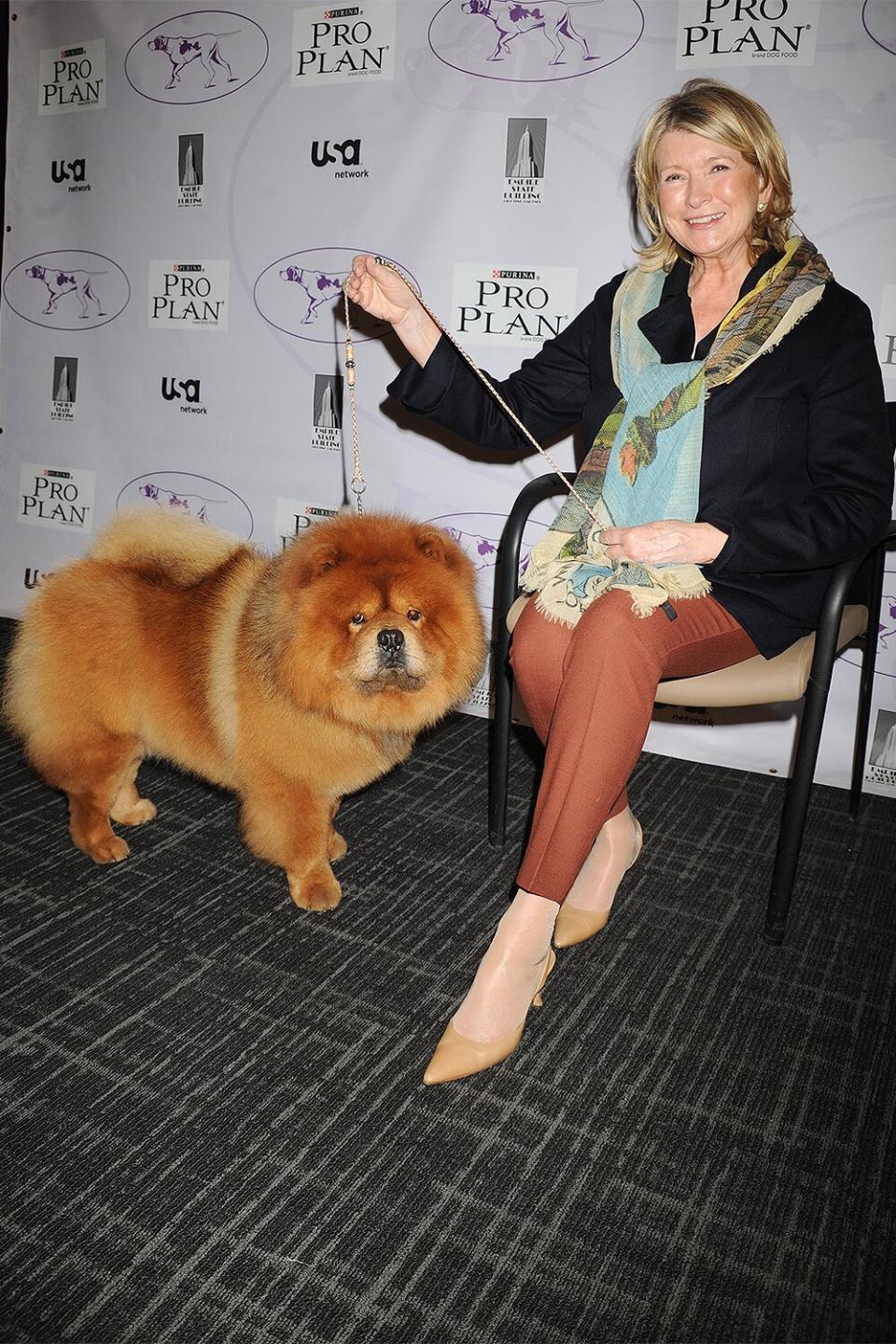 Martha Stewart with dog Genghis Khan 136th Westminster Kennel Club Dog Show, New York, America - 13 Feb 2012