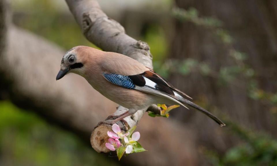 <span>Photograph: Malcolm Park/Alamy Stock Photo</span>