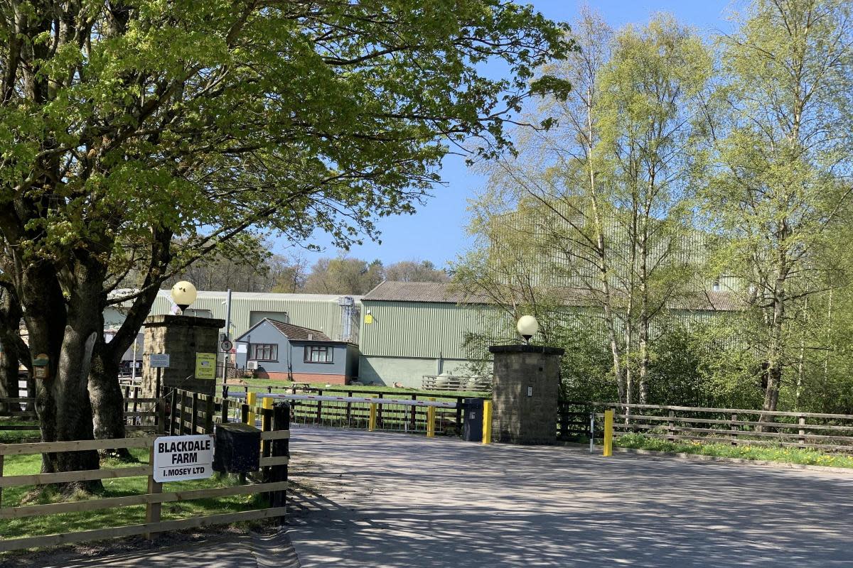 Animal feed firm Ian Mosey's base at Blackdale Mill, near Gilling East
