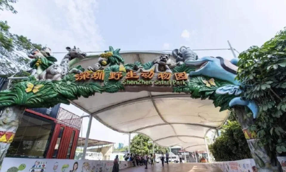 深圳旅遊｜深圳野生動物園門票46折快閃優惠！人均$99起！觀賞300多種珍禽異獸、近距離餵食猛獸、看馬戲表演等｜Yahoo購物節