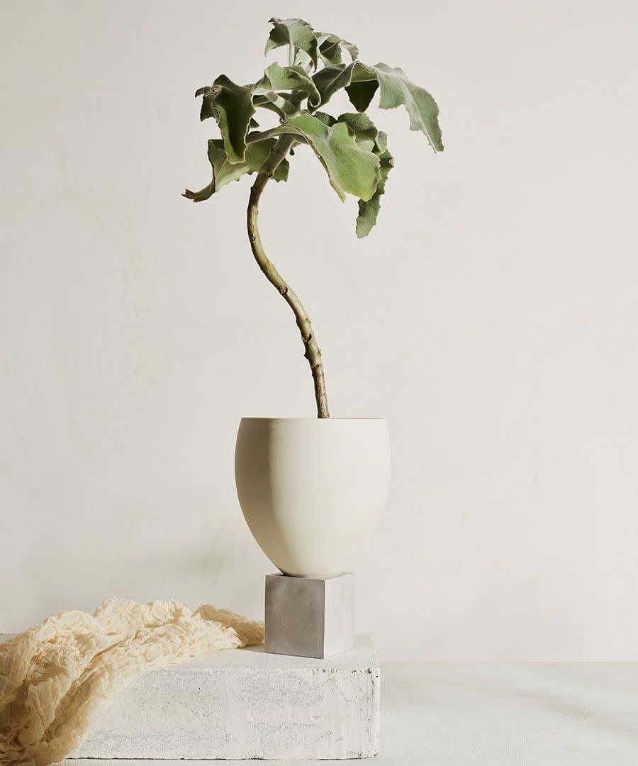 1) Eleva Porcelain Planter