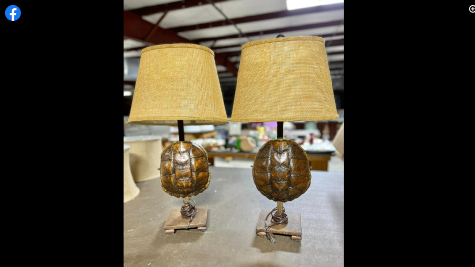 Turtle lamps among personal items from Murdaugh family home listed for sale at auction Thursday in Pembroke Georgia.