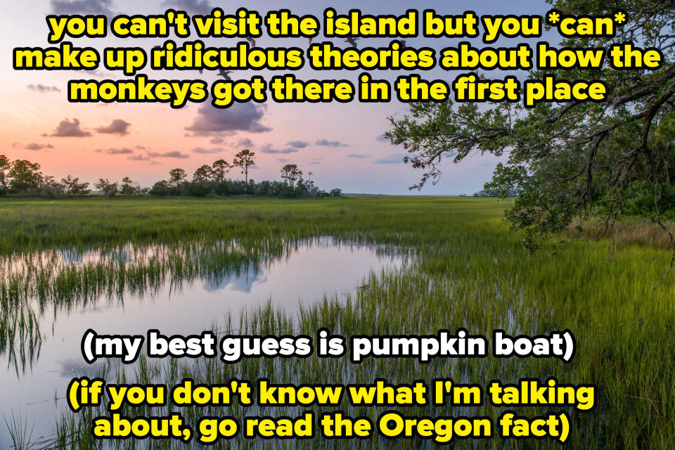 A marsh in South Carolina, with caption: you can't visit the island but you can make up ridiculous theories about how the monkeys got there (my best guess is pumpkin boat) (if you don't know what I'm talking about, go read the Oregon fact)