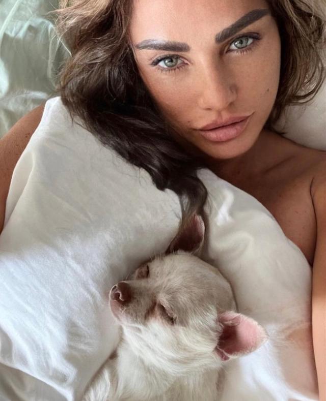 Price has lost several pets to accidents in her home (katie price/Instagram)