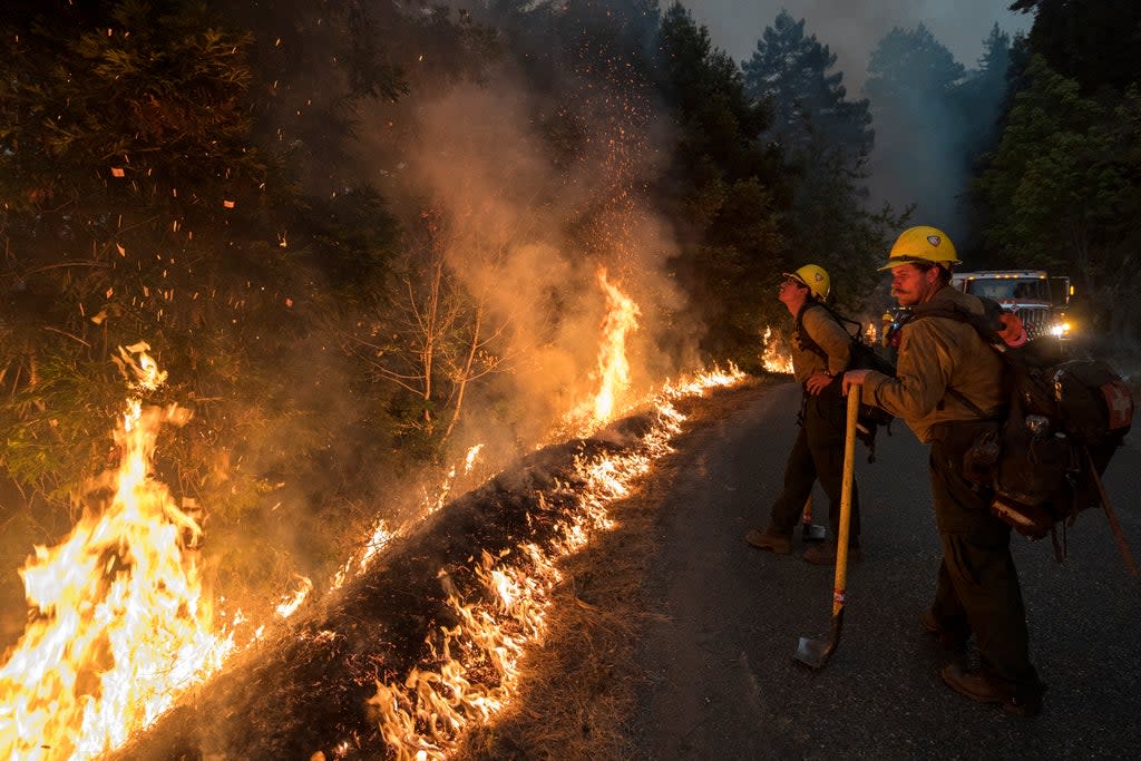 California Wildfire-Condor Sanctuary (Copyright 2020 The Associated Press. All rights reserved)