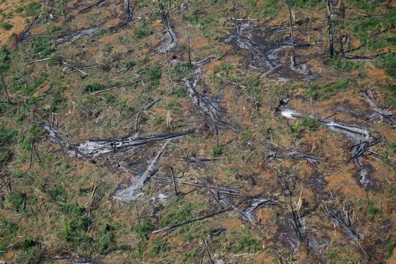 FILE PHOTO: Forest fires in the Amazon rainforest in Brazil