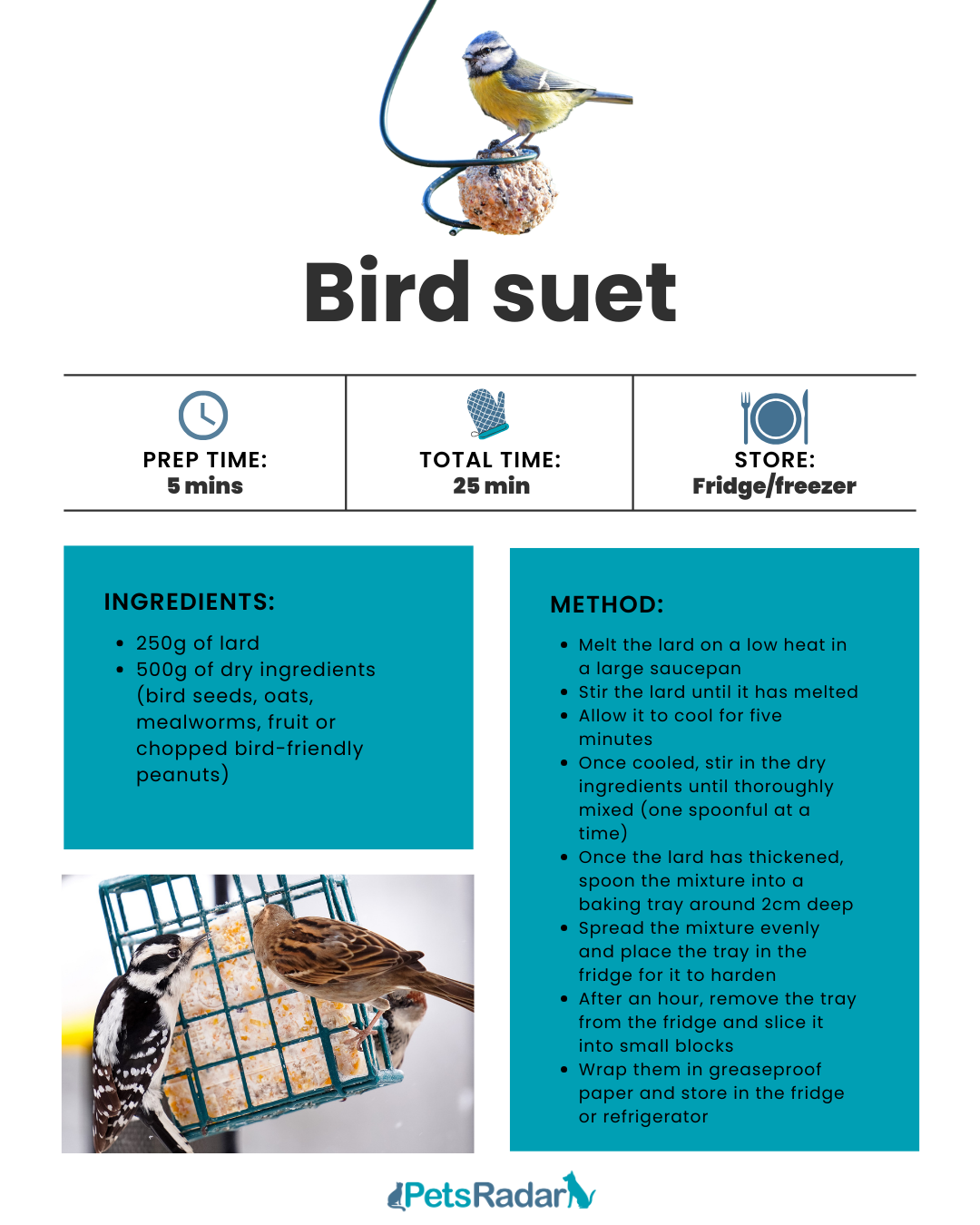 Bird suet recipe card