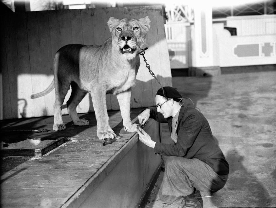 Vintage Amusement Park Photos Getty00027