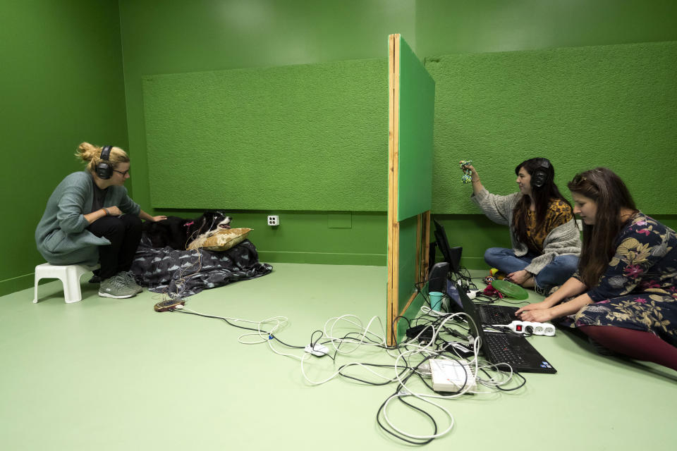 Researchers test Rohan, a border collie with her owner Paula Perez, during an experiment at the department of Ethology of the Eotvos Lorand University in Budapest, Hungary, on Wednesday, March 27, 2024. A new study in Hungary has found that beyond being able to learn how to perform commands, dogs can learn to associate words with specific objects — a relationship with language called referential understanding that had been unproven until now. (AP Photo/Denes Erdos)