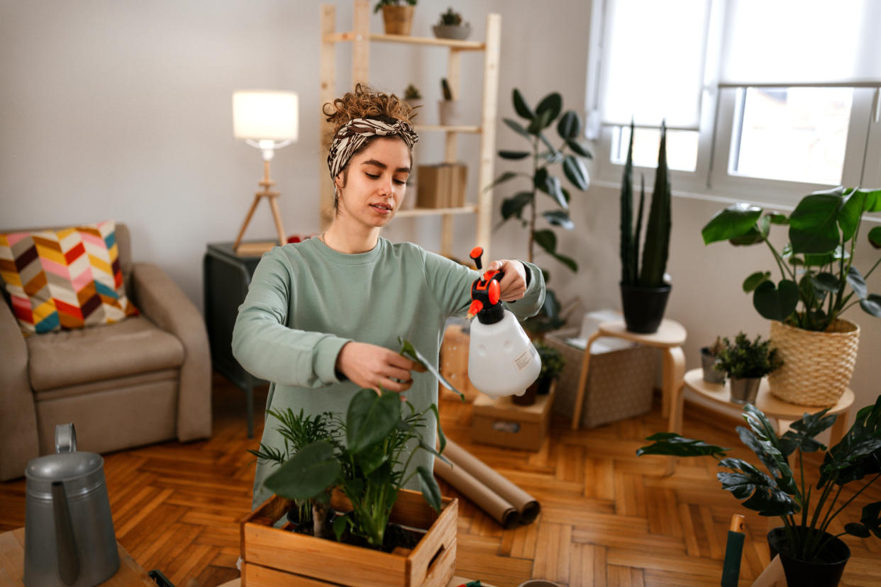 Young beautiful woman taking care of her plants