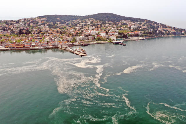 sea snot caused by climate change is spreading in turkey