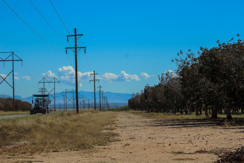 A truck passes by nut orchards in Cochise County.