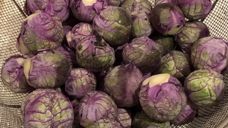 Purple Brussels sprouts