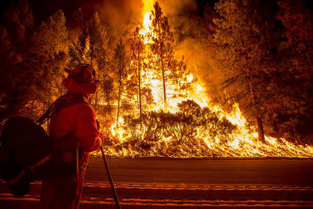 A firefighter battling the King Fire watches as a backfire burns along Highway 50 in Fresh Pond, California September 16, 2014. REUTERS/Noah Berger