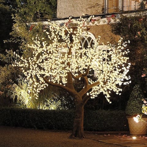 Enchanted Trees Illuminated Decorative LED Tree - Credit: Not On The High Street