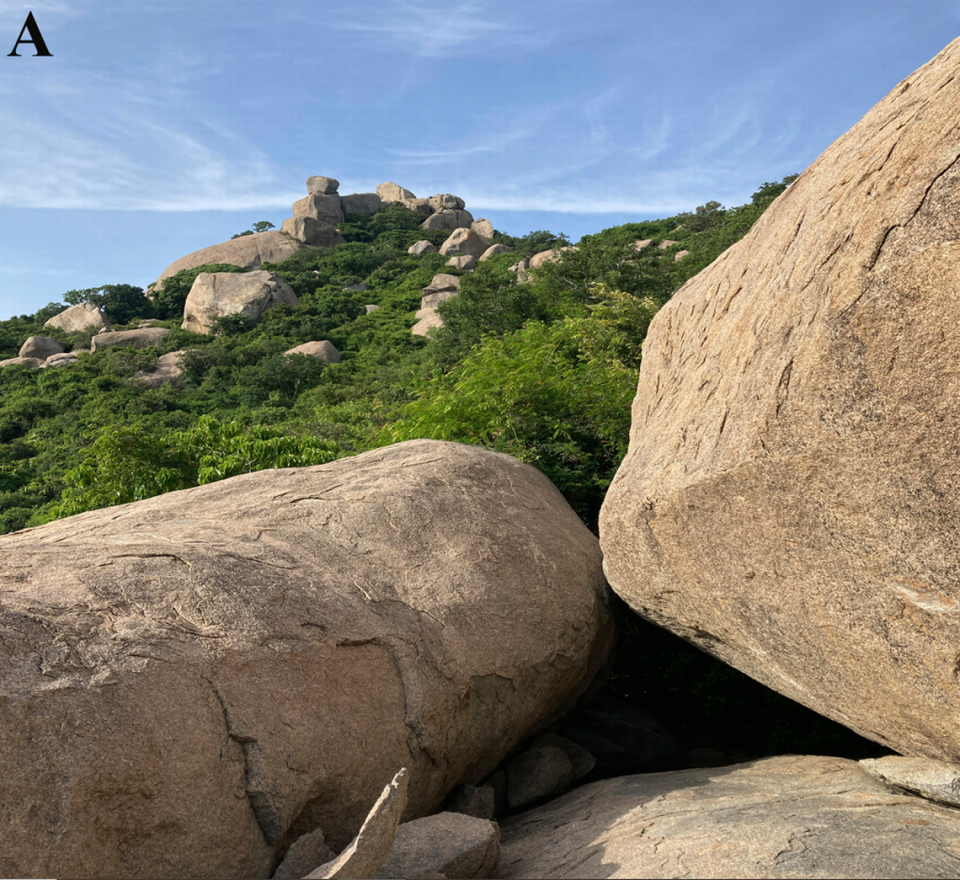 The Gingee Hills area of Pakkamalai Reserve Forest where the new species were discovered.