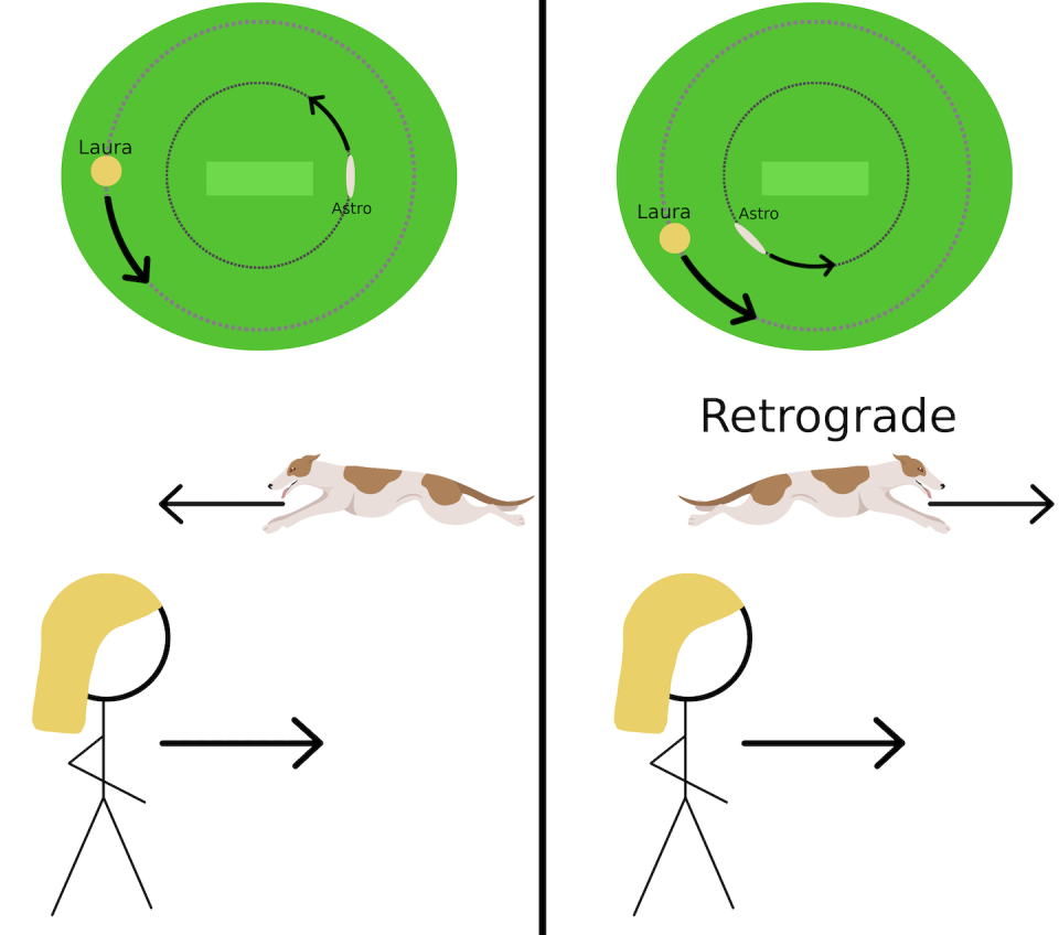 Diagram of me (Laura) and Astro running around the oval, from my point of view. At the top we can see the top-down view of the oval. At the bottom we can see the side-on view. From my point of view it looks like Astro is running right-to-left when he’s on the opposite side of the oval to me, but it looks like he’s running left-to-right when he’s on the same side of the oval to me. Laura Driessen (author provided)