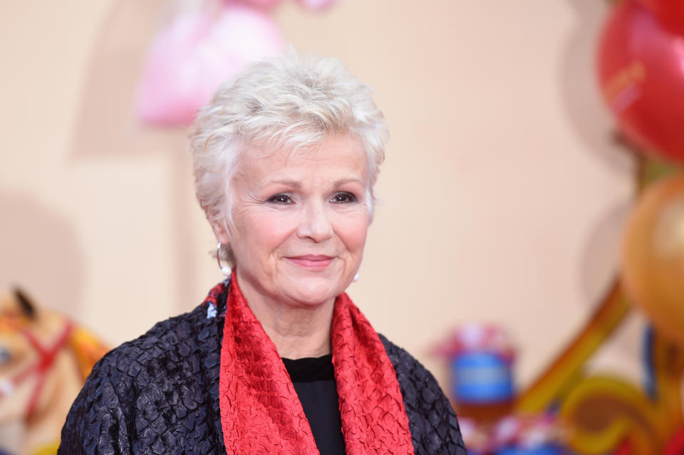 LONDON, ENGLAND - NOVEMBER 05:  Actress Julie Walters attends the 'Paddington 2' premiere at BFI Southbank on November 5, 2017 in London, England.  (Photo by Stuart C. Wilson/Getty Images)