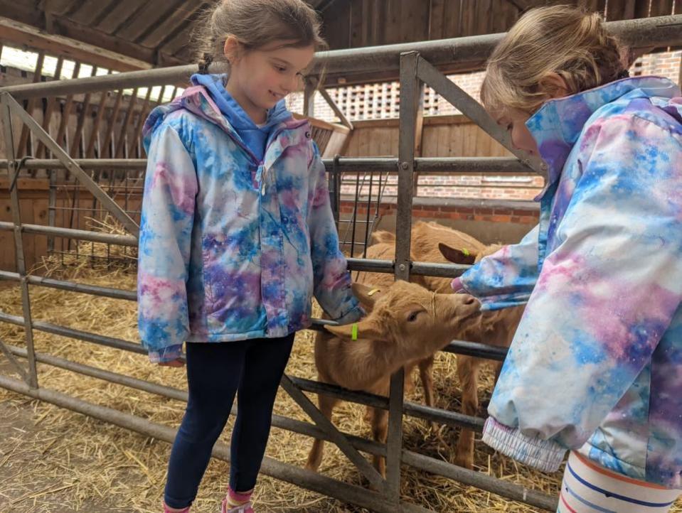 Northwich Guardian: Farm visitors Eleanor and Libby from Manchester make a new friend